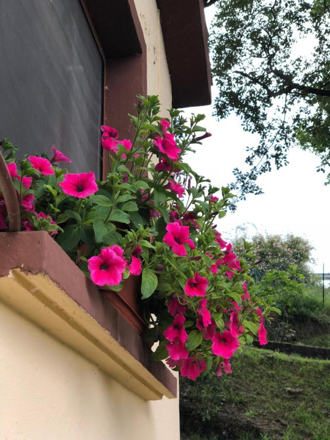 Casa Rural En Plena Naturaleza Lic Uvtr1524 Eguillor Екстериор снимка