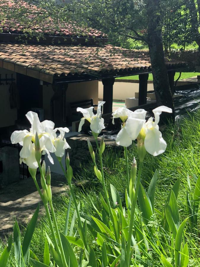 Casa Rural En Plena Naturaleza Lic Uvtr1524 Eguillor Екстериор снимка