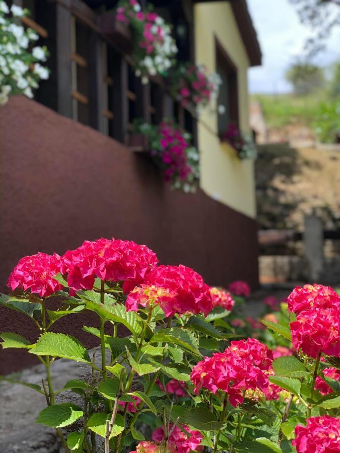 Casa Rural En Plena Naturaleza Lic Uvtr1524 Eguillor Екстериор снимка